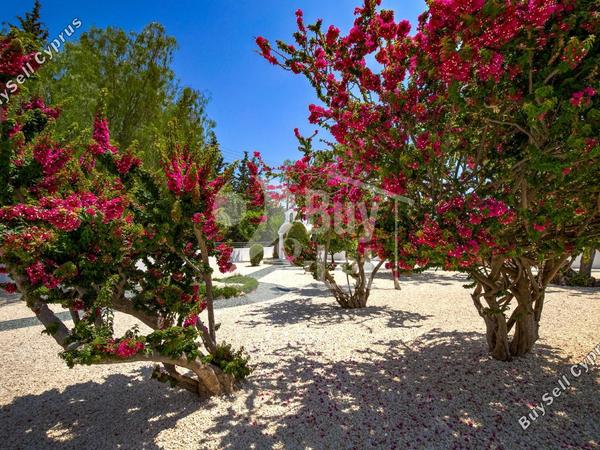 5 bedroom detached house for sale kouklia pafou paphos 8834289 image 17659839