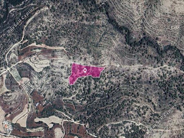 land for sale agios therapon limassol 7872289 image 14892050