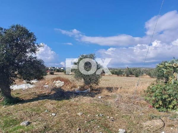land for sale episkopi lemesou limassol 1621289 image 5655581
