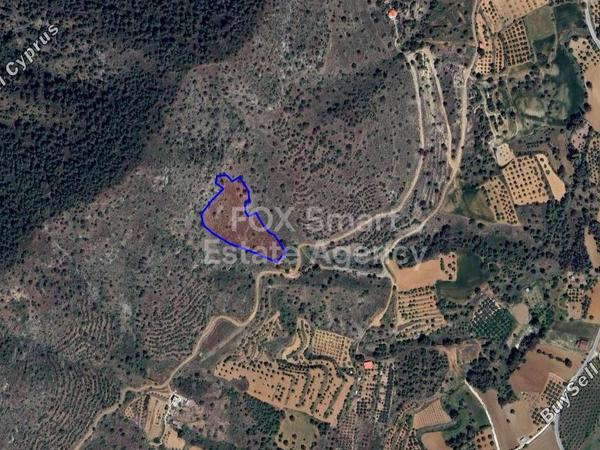 land for sale klirou nicosia 7756289 image 10321892