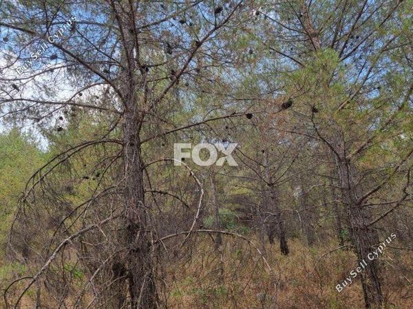 land for sale pano platres limassol 1148289 image 5524527