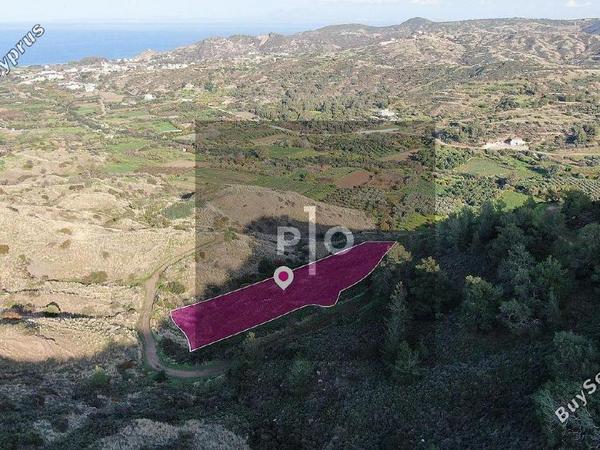 land for sale pigenia nicosia 8275289 image 15158945