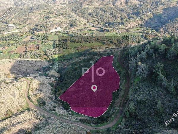 land for sale pigenia nicosia 8275289 image 15158948
