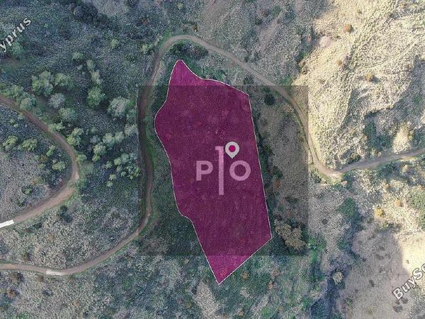 land for sale pigenia nicosia 8275289 image 15158952