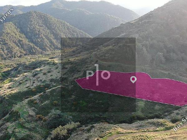 land for sale pigenia nicosia 8275289 image 15158955