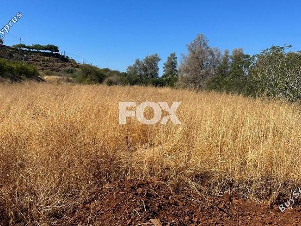land for sale pomos paphos 1270289 image 10032906