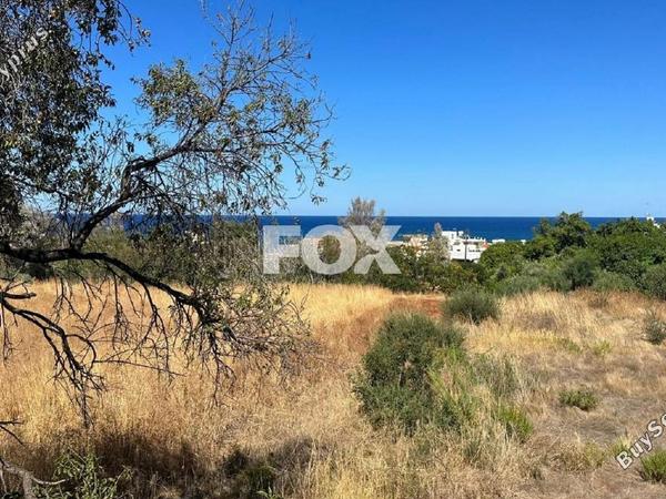 land for sale pomos paphos 1270289 image 10032909