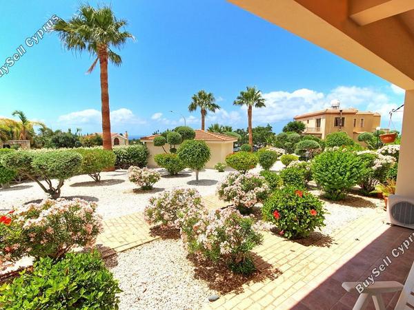 1 bedroom ground floor apartment for rent peyia paphos 8690389 image 16148821