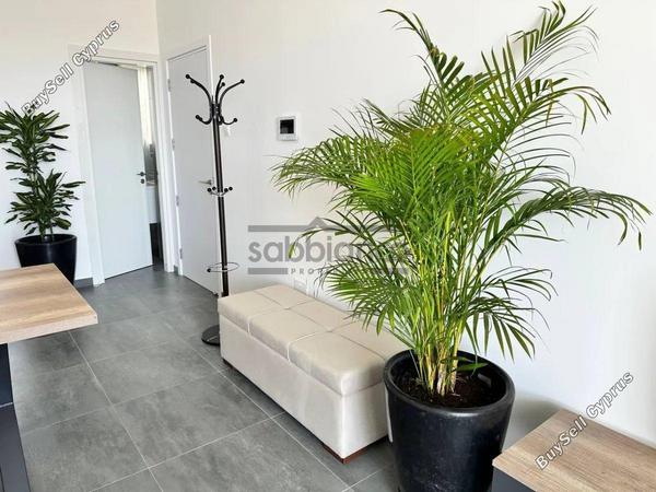 2 bedroom apartment for sale livadia larnacas larnaca 8736389 image 16348405