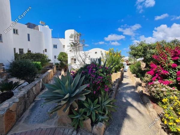 5 bedroom detached house for sale chlorakas paphos 1355389 image 5631754