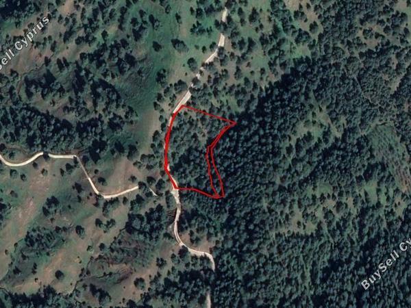 land for sale pigenia nicosia 830389 image 15664113