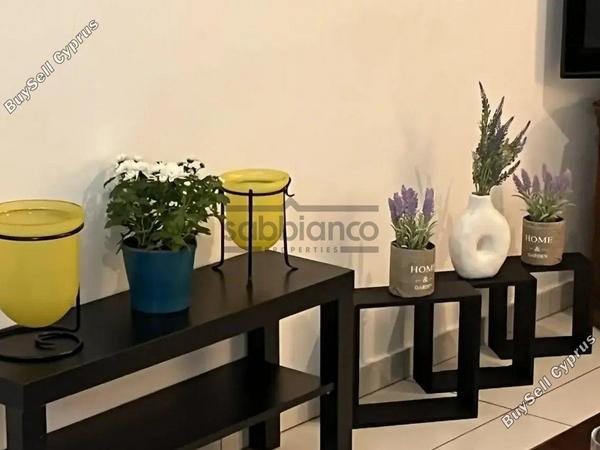 1 bedroom apartment for rent makedonitissa nicosia 8748489 image 16465049