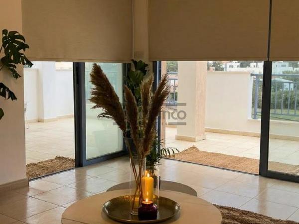 2 bedroom apartment for sale geroskipou paphos 8741489 image 16393539