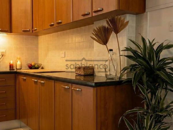 2 bedroom apartment for sale geroskipou paphos 8741489 image 16393547