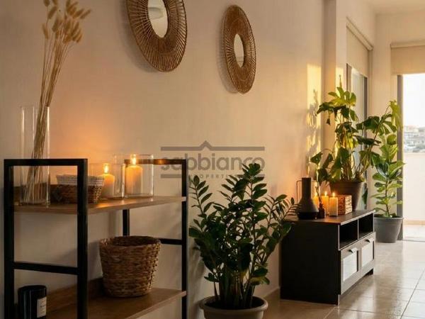 2 bedroom apartment for sale geroskipou paphos 8741489 image 16393550