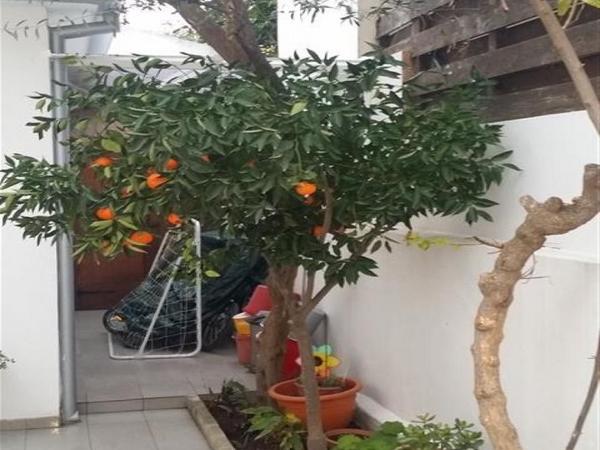 4 bedroom detached house for sale aglantzia nicosia 1702489 image 16160663