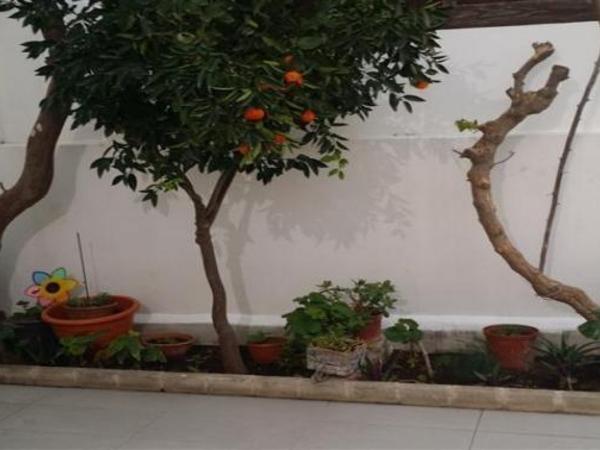 4 bedroom detached house for sale aglantzia nicosia 1702489 image 16160664