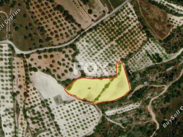 land for sale mesa chorio paphos 1159489 image 5524656