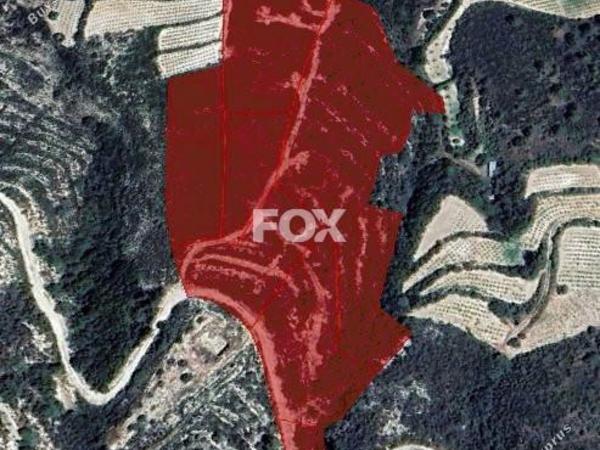 land for sale trimiklini limassol 1286489 image 14696507