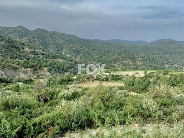 land for sale trimiklini limassol 1286489 image 14696517