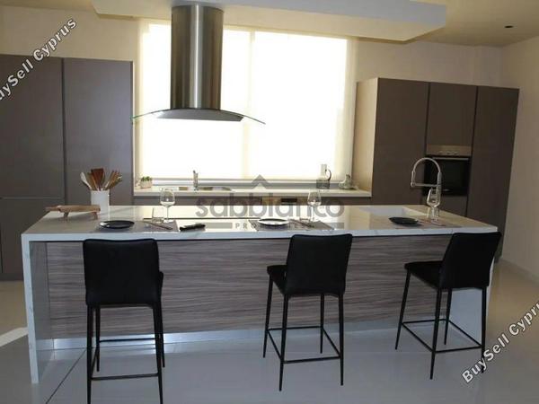 3 bedroom detached house for sale mesogi paphos 8744589 image 16422772