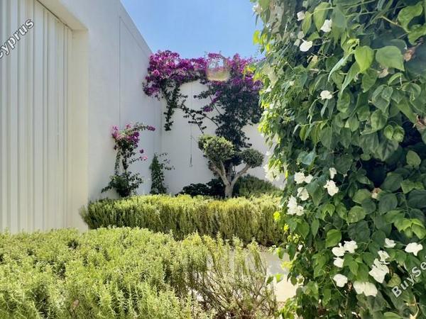 3 bedroom detached house for sale peyia paphos 1618589 image 13122106