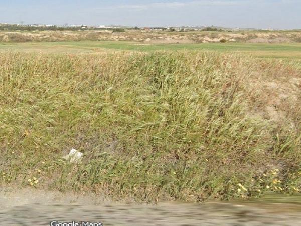 land for rent tseri nicosia 8376589 image 16185967