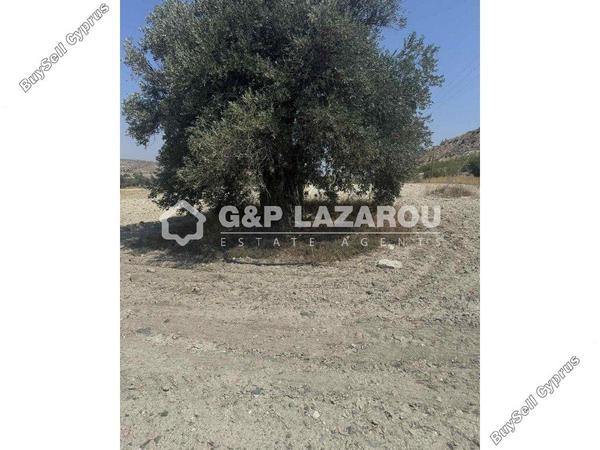land for sale agia varvara nicosias nicosia 1844589 image 6624101