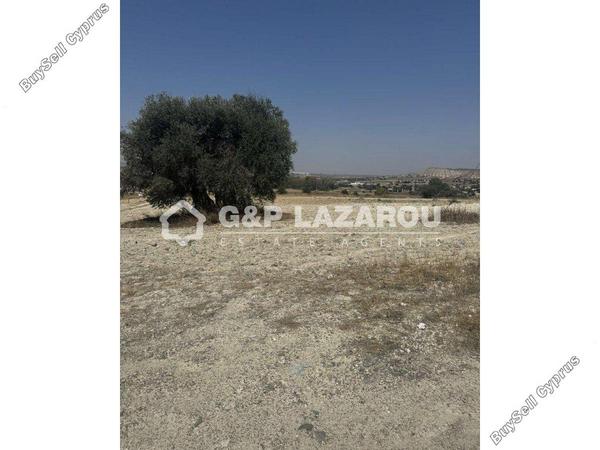 land for sale agia varvara nicosias nicosia 1844589 image 6624110