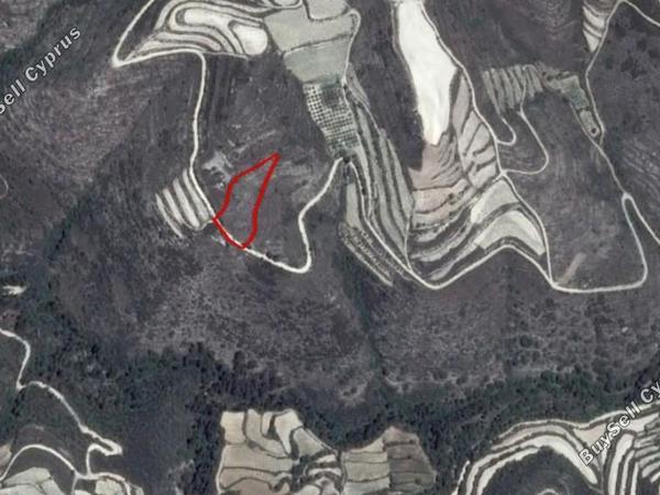 land for sale koili paphos 8630589 image 17113231