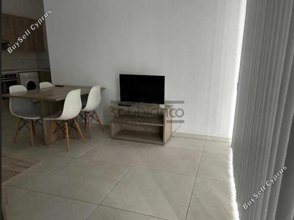 1 bedroom apartment for rent makedonitissa nicosia 8739689 image 16373692