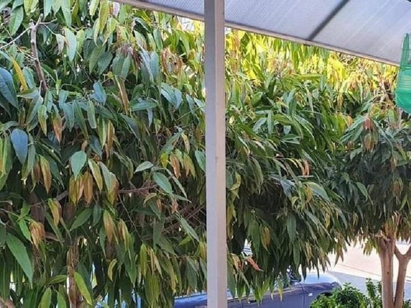 2 bedroom semi detached bungalow for sale apostolos andreas limassol limassol 890689 image 764704