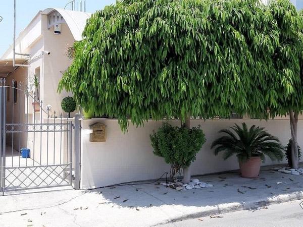 2 bedroom semi detached bungalow for sale apostolos andreas limassol limassol 890689 image 788647