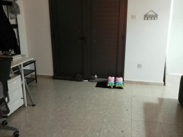 3 bedroom bungalow for sale sotiros agios ioannis larnaca larnaca 8554689 image 15801775