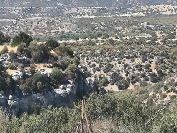 land for sale prastio avdimou limassol 945689 image 17071594
