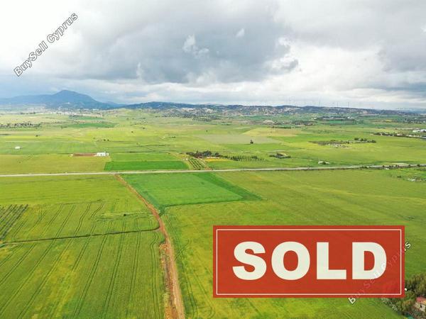land sold softades larnaca 8691689 image 16149161