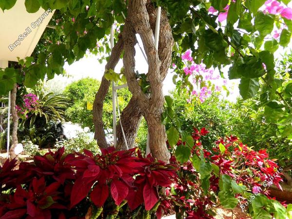 studio office for rent panthea limassol 8771689 image 16578111