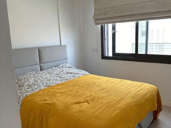 1 bedroom apartment for rent dasoupoli nicosia 8214789 image 16336400