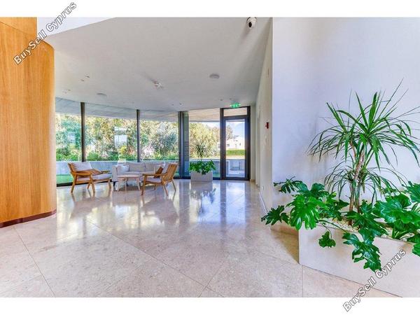 2 bedroom apartment for rent potamos germasogeias limassol 1610789 image 5481680