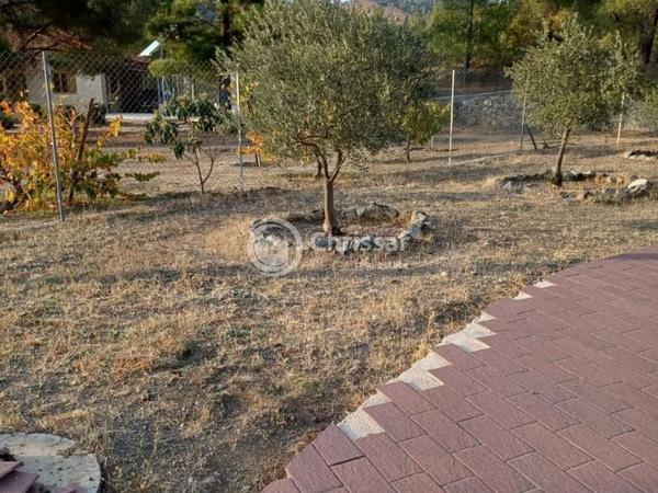 2 bedroom bungalow for rent mandria lemesou limassol 8581789 image 15774623