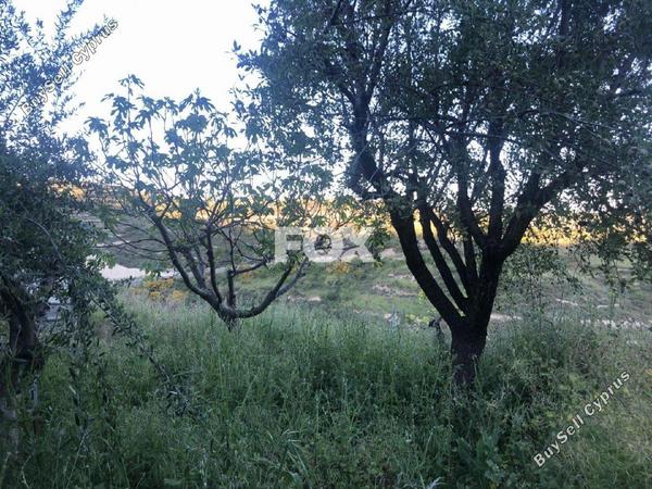 3 bedroom detached house for sale vouni limassol 1147789 image 5554270
