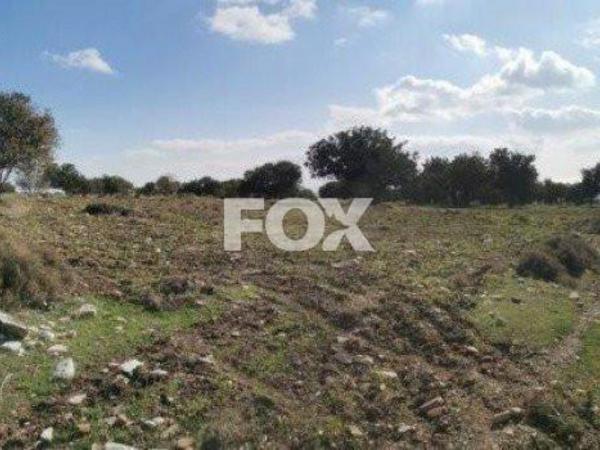 land for sale pachna limassol 1146789 image 5527325