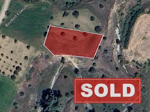 land sold arediou nicosia 1810789 image 6229205