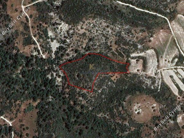 plot for sale dora limassol 1194789 image 5570630