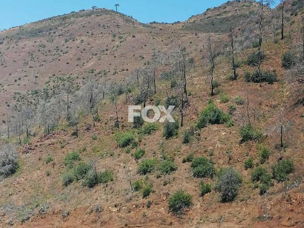 land for sale moni limassol 8306889 image 14106886