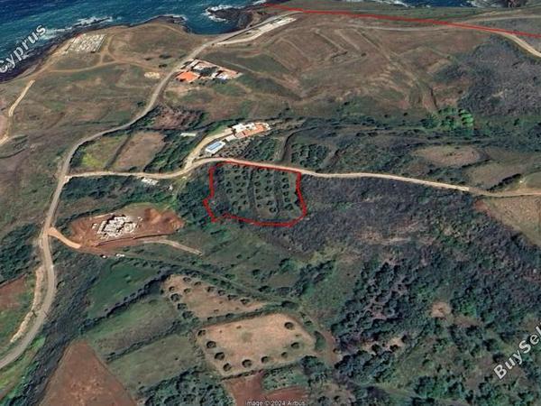 land for sale pachyammos paphos 7736889 image 10184612