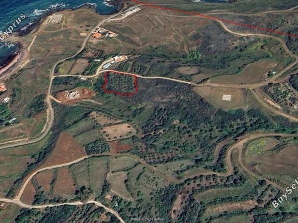 land for sale pachyammos paphos 7736889 image 10184613