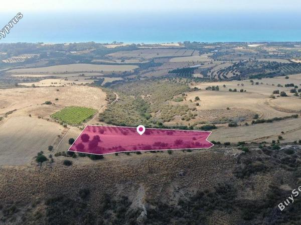 land for sale pelathousa paphos 8395889 image 14822354