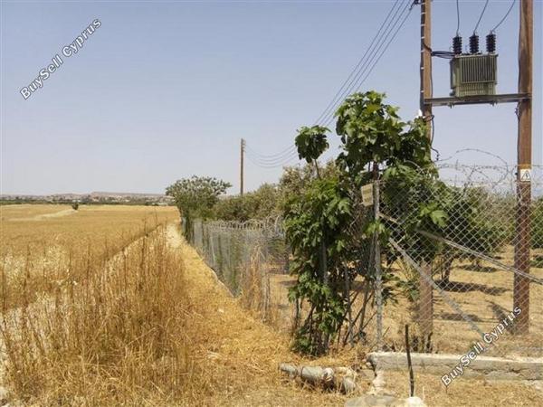 land for sale pera orinis nicosia 1062889 image 16251996