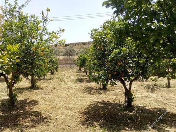 land for sale pera orinis nicosia 1062889 image 16252008